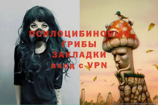 СК Володарск