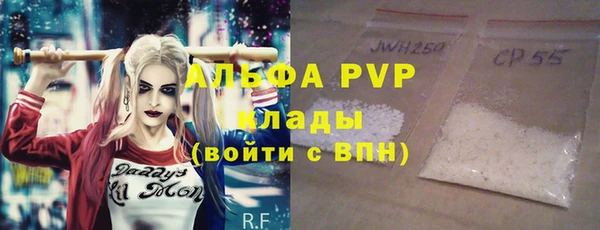 гидра Вяземский