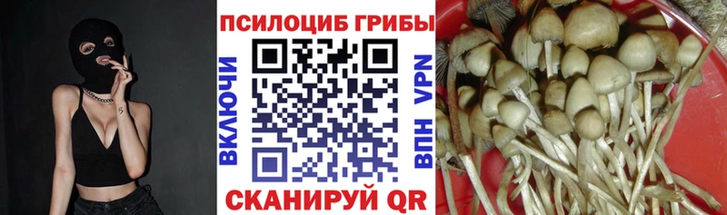 MEGA рабочий сайт  где купить   Балаково  Галлюциногенные грибы мухоморы 